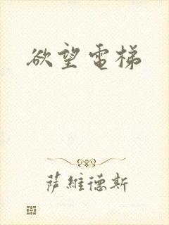 欲望电梯
