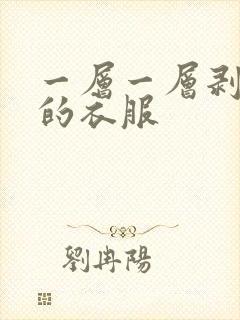 一层一层剥开你的衣服
