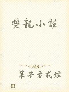 双龙小说