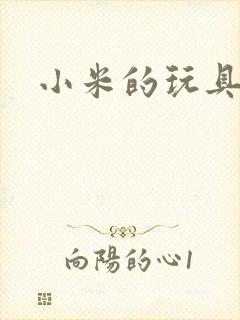 小米的玩具日记