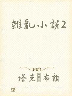 杂乱小说2