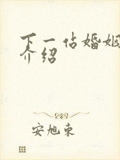 下一站婚姻剧情介绍