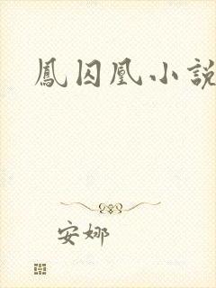 凤囚凰小说