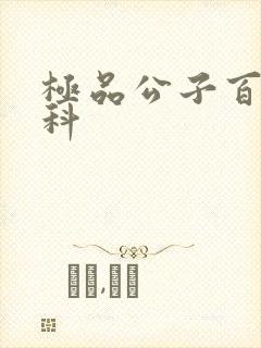 极品公子百度百科