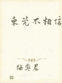 东莞不相信眼泪