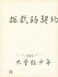 总裁的契约情人