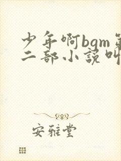 少年啊bgm第二部小说叫什么