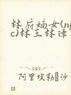 林府嫡女(npc)林玉林璋