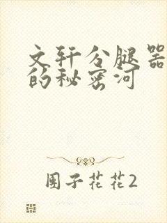 文轩分腿器河马的秘密河