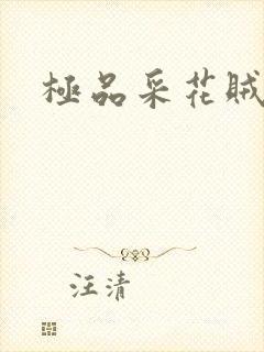 极品采花贼