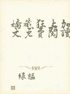 娇藏狂上加狂全文免费阅读笔趣阁