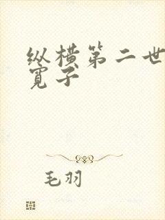 纵横第二世界 宽子