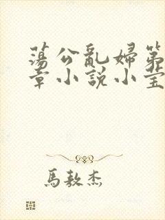 荡公乱妇第51章小说小莹