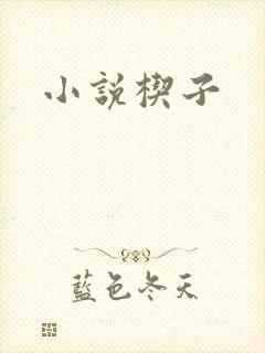 小说楔子