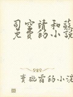 司空靖和苏月汐免费的小说笔趣阁