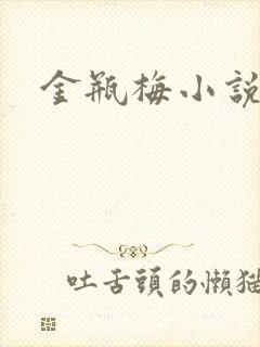 金瓶梅小说下载