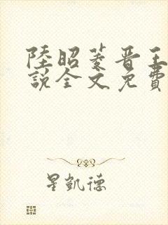 陆昭菱晋王的小说全文免费阅读