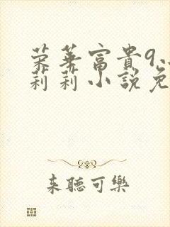 荣华富贵9小王莉莉小说免费阅读