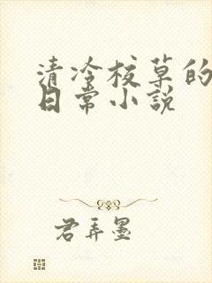 清冷校草的堕落日常小说