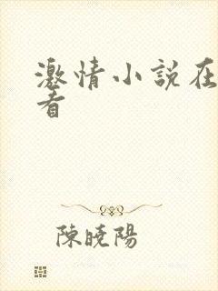 激情小说在线观看