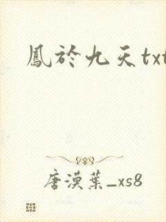 凤于九天txt