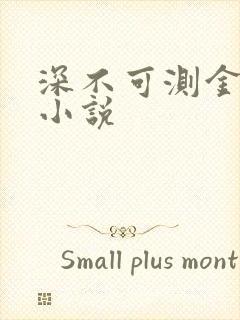 深不可测金银花小说