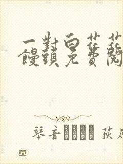 一对白花花的大馒头免费阅读