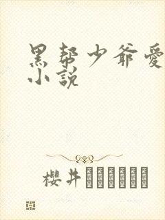 黑帮少爷爱上我小说