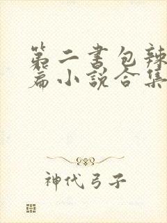 第二书包辣网短篇小说合集