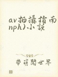 av拍摄指南(nph)小说
