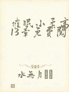 催眠小柔高达第13章免费阅读