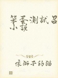 笨蛋测试召唤兽小说