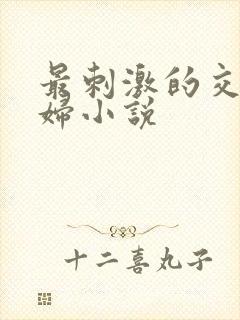 最刺激的交换夫妇小说
