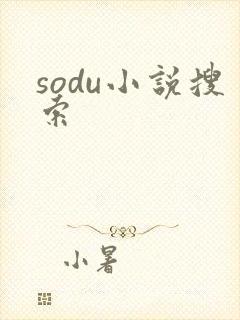 sodu小说搜索