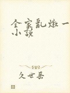 全家乱炖一锅烩小说