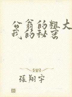 公翁的粗大放进我的秘密