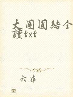 大团圆结全文阅读txt