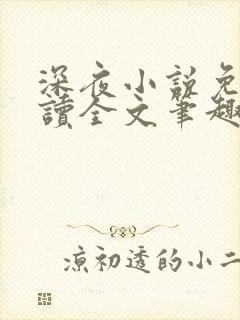 深夜小说免费阅读全文笔趣阁