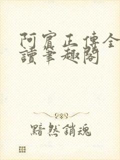 阿宾正传全文阅读笔趣阁