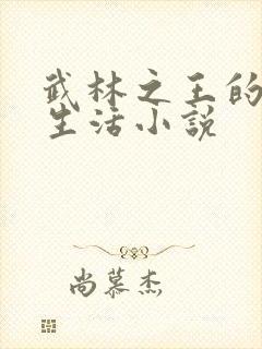 武林之王的退隐生活小说