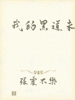 我的黑道未婚夫