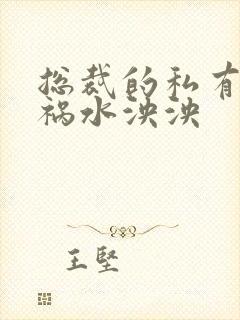 总裁的私有宝贝祸水泱泱