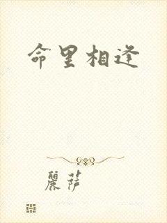 命里相逢
