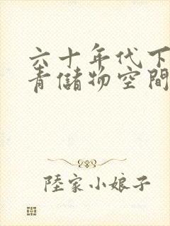 六十年代下乡知青储物空间