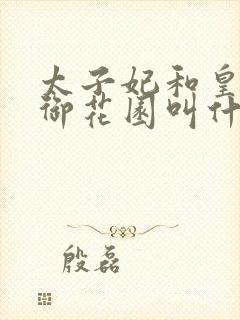 太子妃和皇帝在御花园叫什么小说