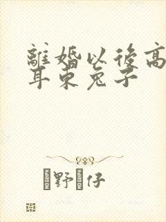 离婚以后高干 耳东兔子