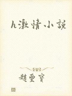 h激情小说