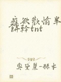 瘾欲欢愉半块小饼干tnt