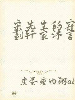 宋先生的宠妻计划轩家沐言