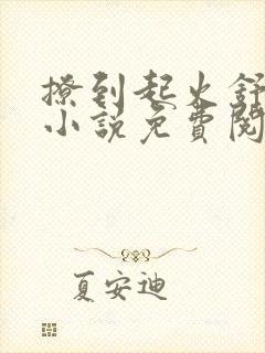 撩到起火舒漾的小说免费阅读全文